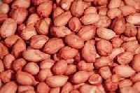 Runners Split Peanuts