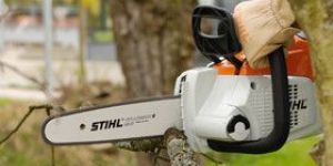 Cordless Chain Saws