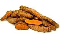 Turmeric Seeds