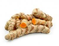 Turmeric Seeds
