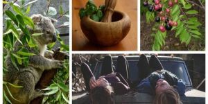 100 gm Krya Natural Anti-Lice Hair Wash