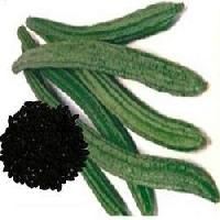 Ridge Gourd Seeds