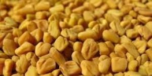 Fenugreek Seed