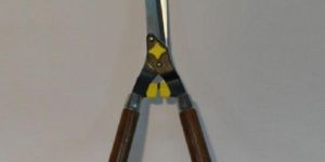 Hedge Shears