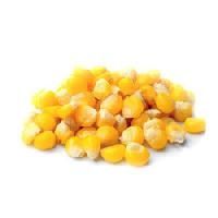 Sweet Corn Seeds