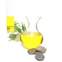Anethi Oil
