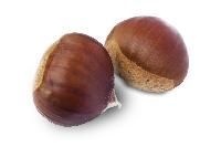 Chestnut
