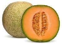 Cantaloupe Seed