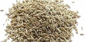 Organic Cumin Seeds