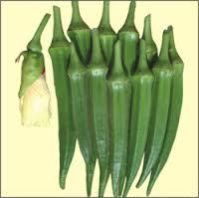 Suraksha F1 Bhindi Seeds