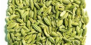 Fennel Seeds