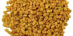 Fenugreek Seeds