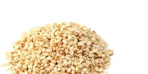 Sesame Seeds