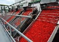 Tomato Processing Plant