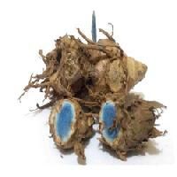 Fresh Black Turmeric