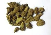 Black Turmeric Finger