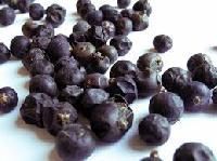 Juniper Berries