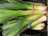 Fresh Leek