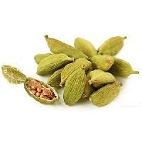 Cardamom Extracts
