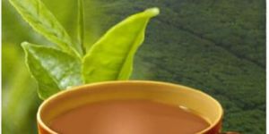 Instant Plain Tea Premix