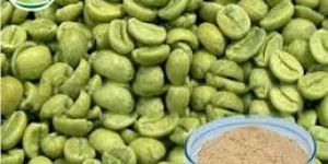 Green Coffee Beans