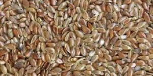 Organic Flax Seed
