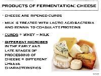 Biotechnology Products