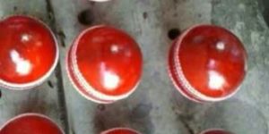 Leather Cricket Balls