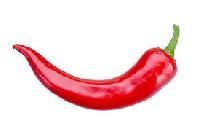 Red Chili Pepper