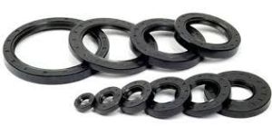 Oil Seals