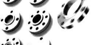Stainless Steel Flanges