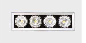 Indus D-Lite 40 W (Recess Down Light)