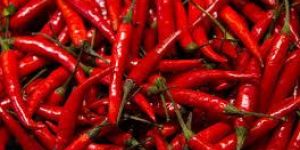 Fresh Red Chilli
