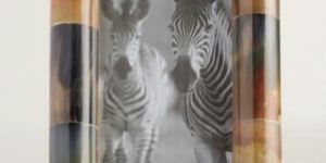 Horn Photo Frame