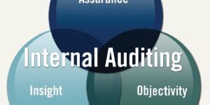 Internal Audit Services