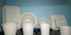 Biodegradable Paper Bowl & Glasses