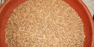 Cumin Seeds