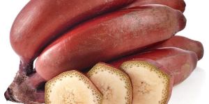 Fresh Red Banana