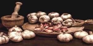 Garlic