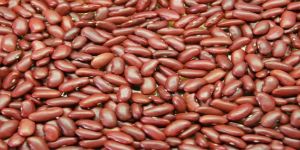 Kidney Beans