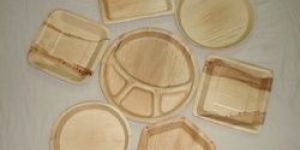 Areca Leaf Plates