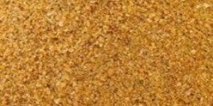Corn DDGS