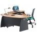 Godrej Viva Credenza Desk