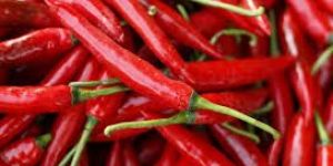 Fresh Red Chilli
