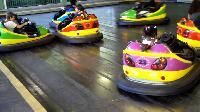 Bumper Cars
