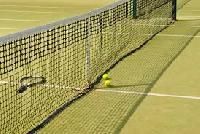 Lawn Tennis Net