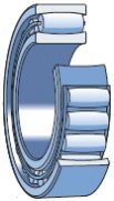 Carb Toroidal Roller Bearings