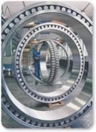 Large Size Bearings