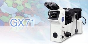 GX71 Inverted Microscope