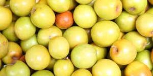 Fresh Jujube Fruit